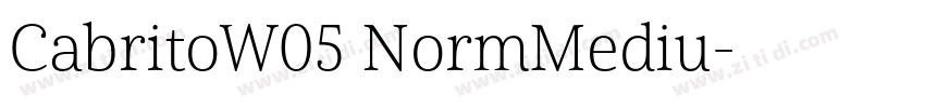 CabritoW05 NormMediu字体转换